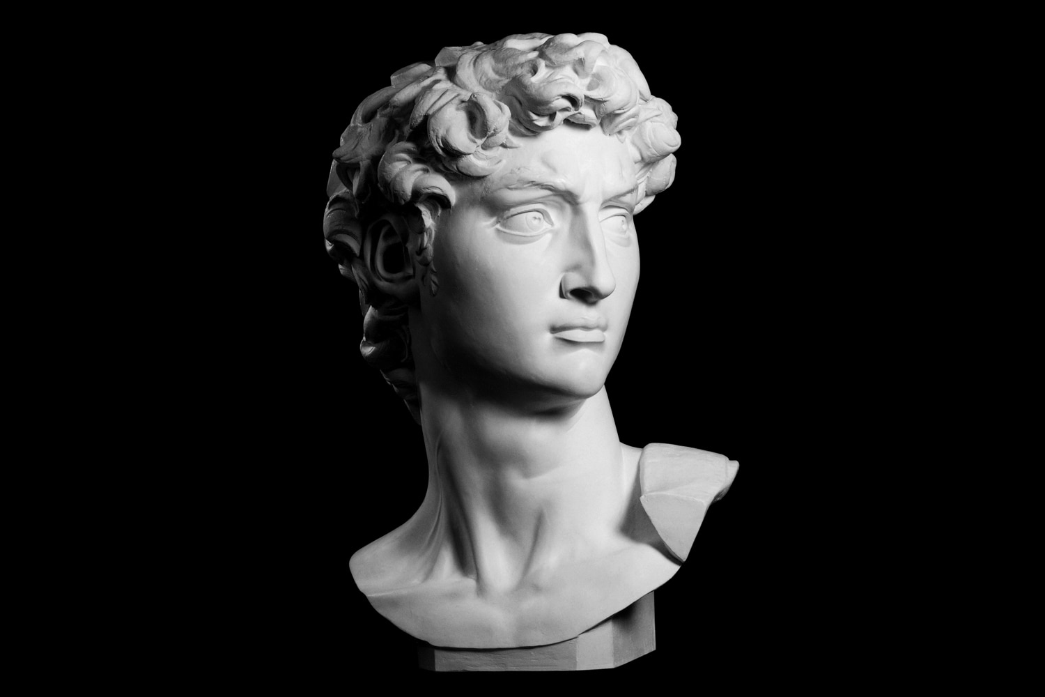 Testa del David di Michelangelo