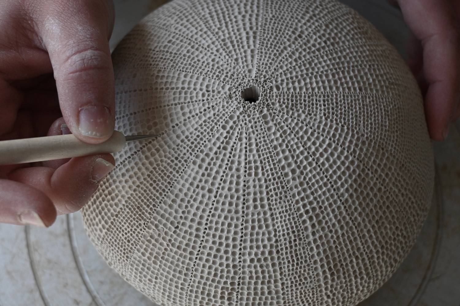 Ceramicist Dana Zvulun