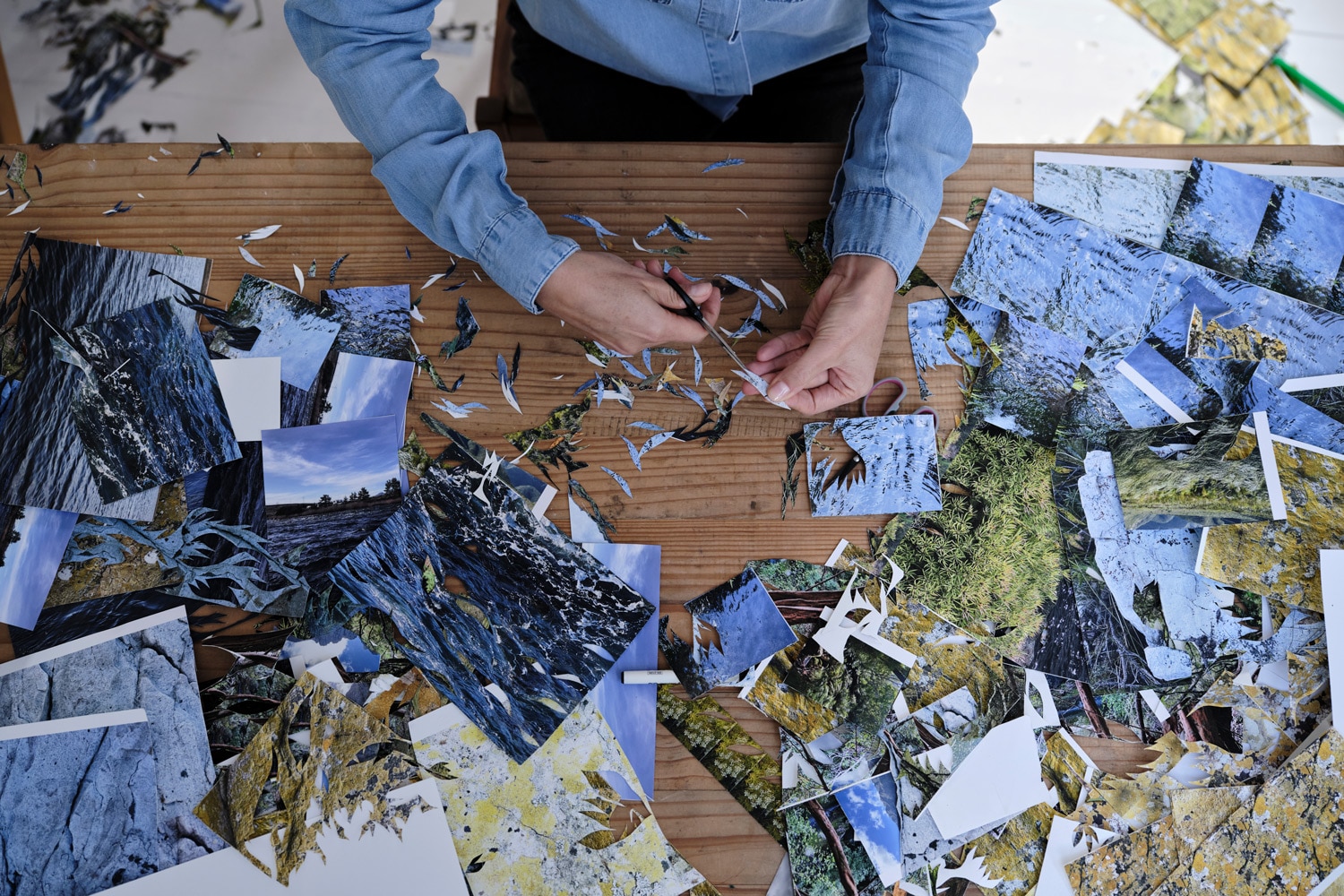 Collage artist Elsa Gouws Smit