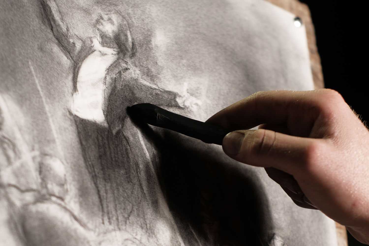 Illustrator Leonardo Fiori