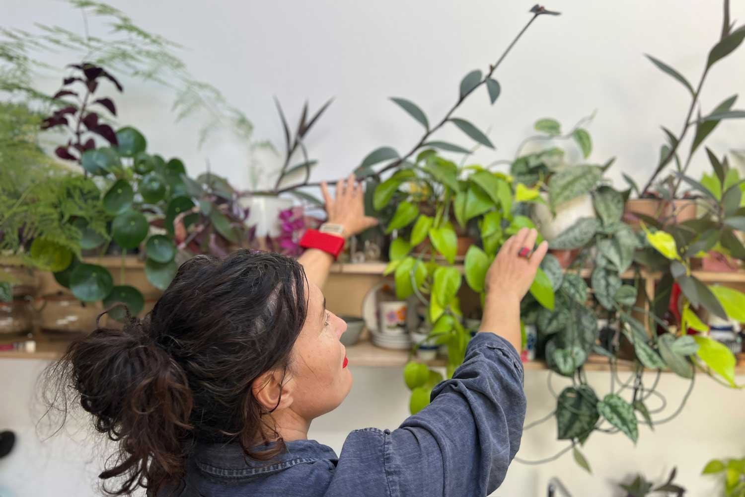 Discover the art of botanical dyes and mordants in London