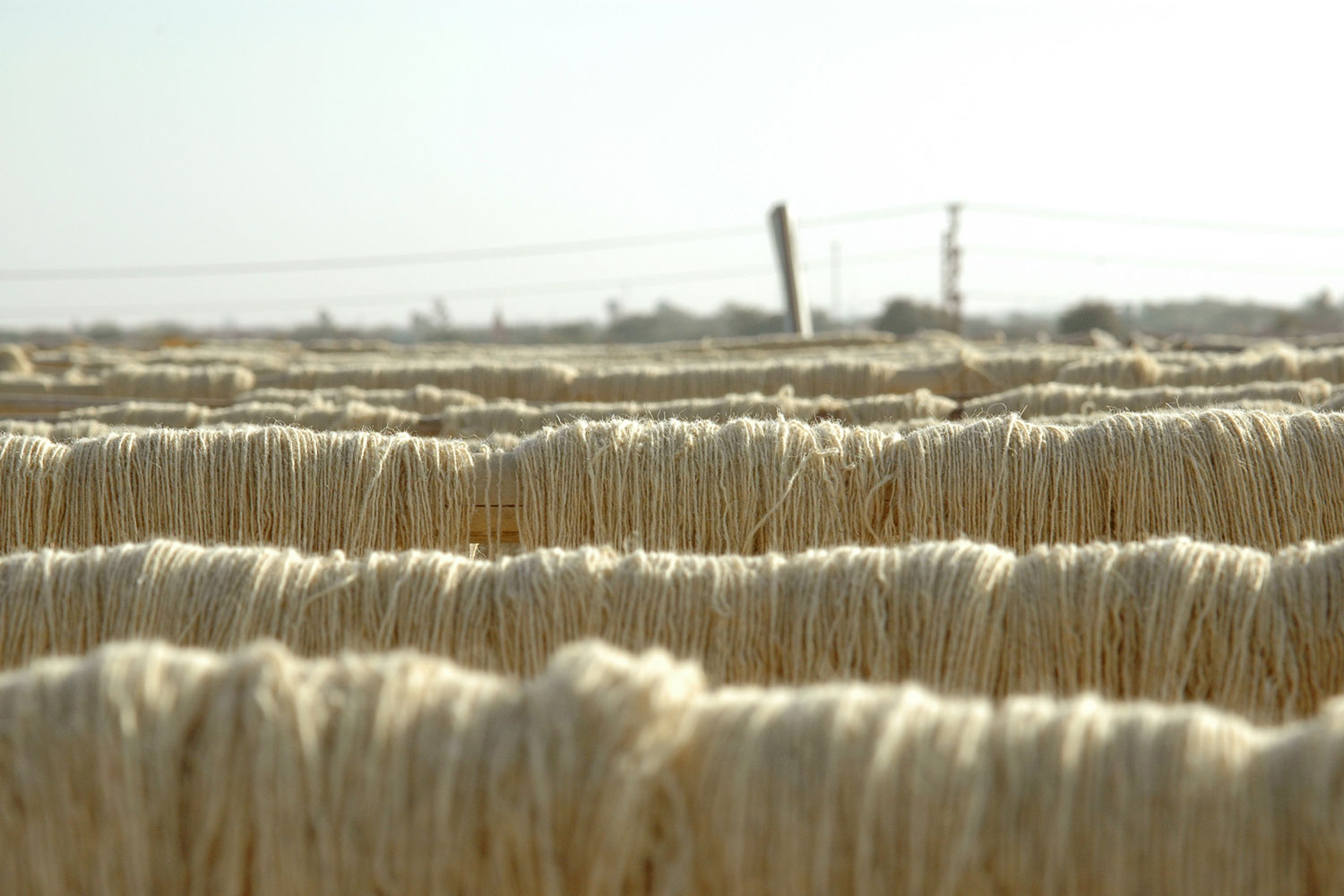 Carpet maker Jaipur Rugs