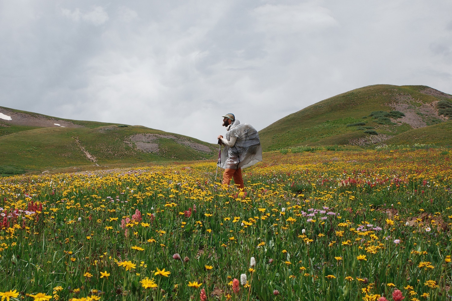 Flower designer Keith Kralik