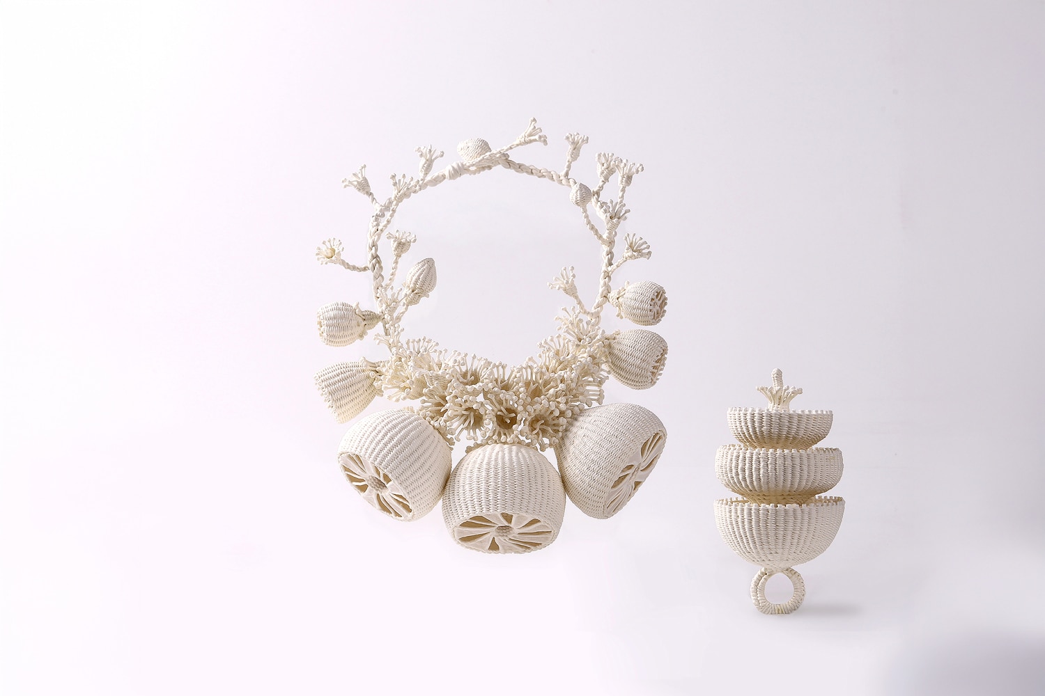 Eunhee Cho Cross section of Fruit