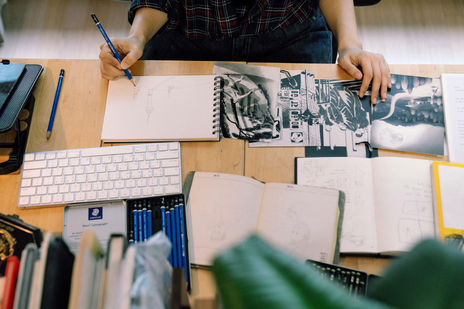 Jiyeun Kang Illustration