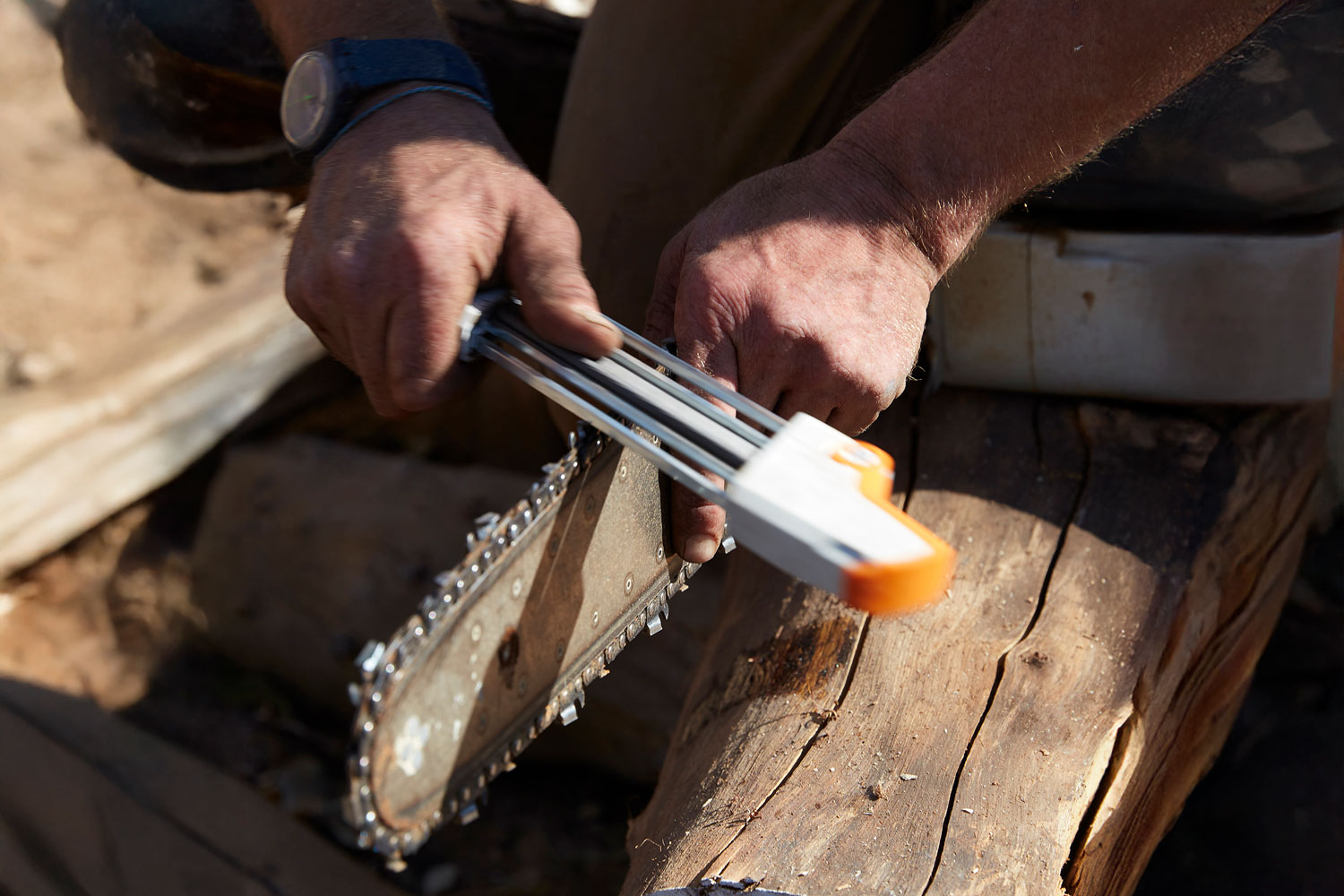 Adam Birch Wood carving