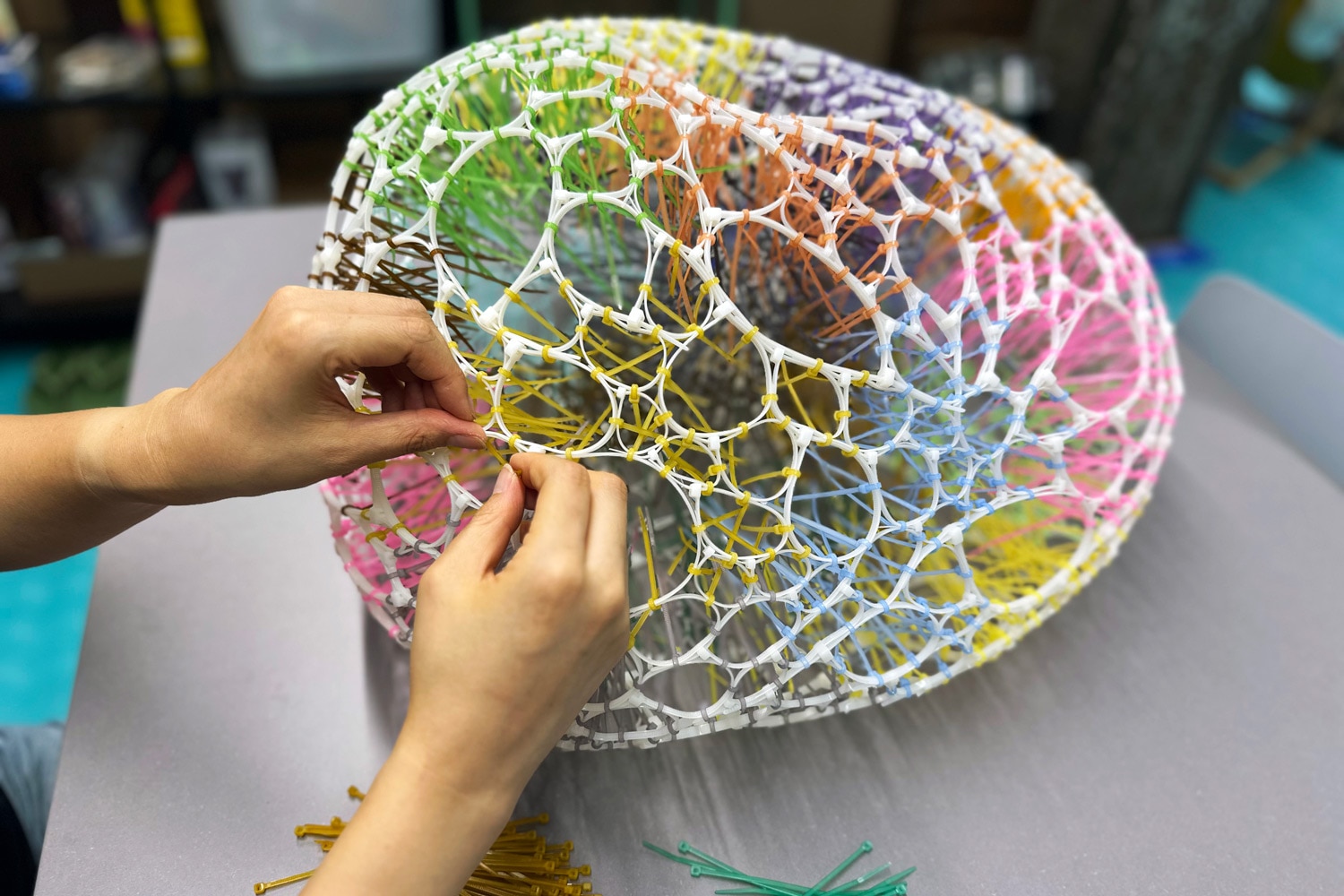 Plastic sculptor Sui Park