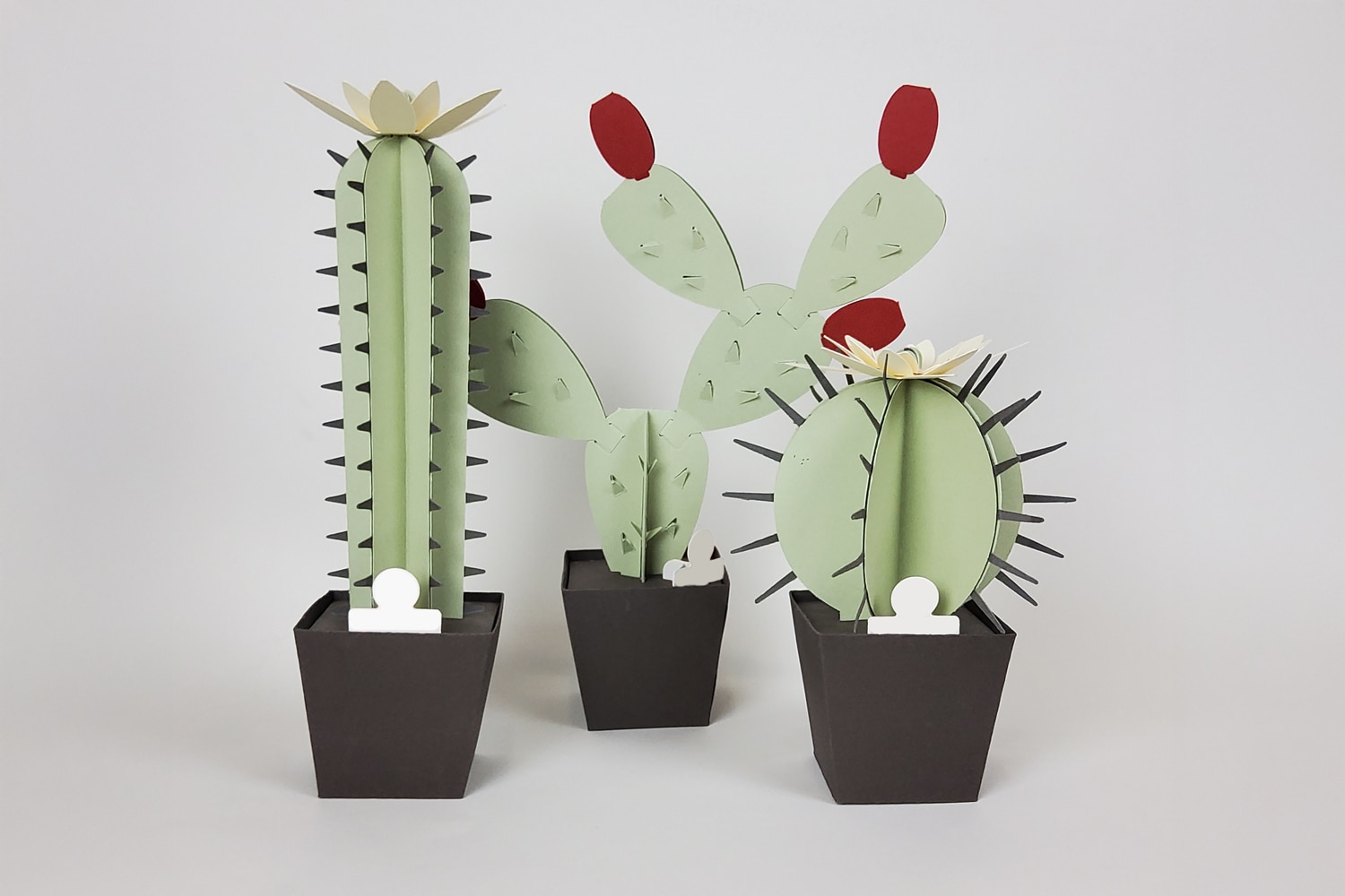 Paper artist Mirko Mauri & Paola Angelini