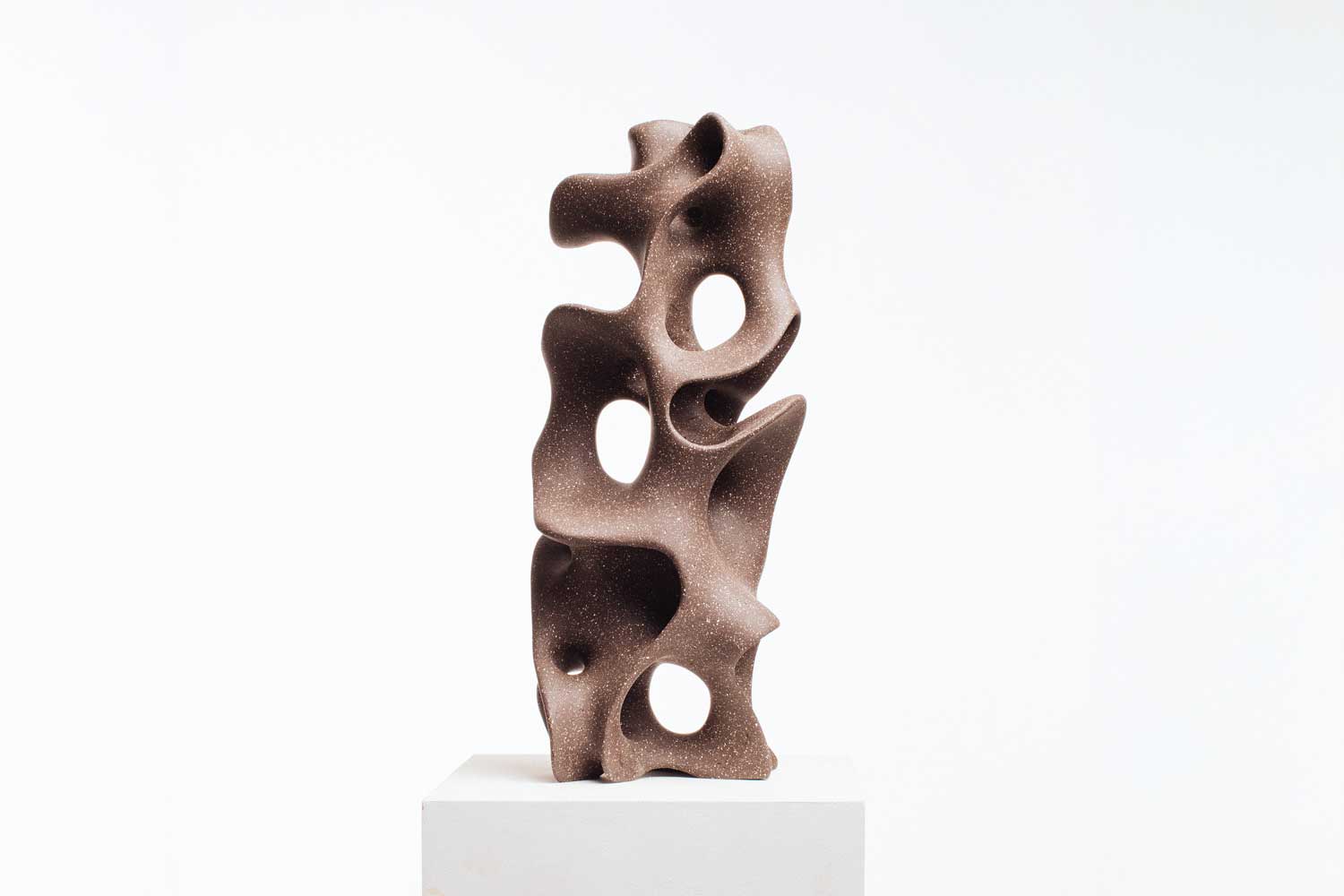 Mixed media sculptor Driaan Claassen