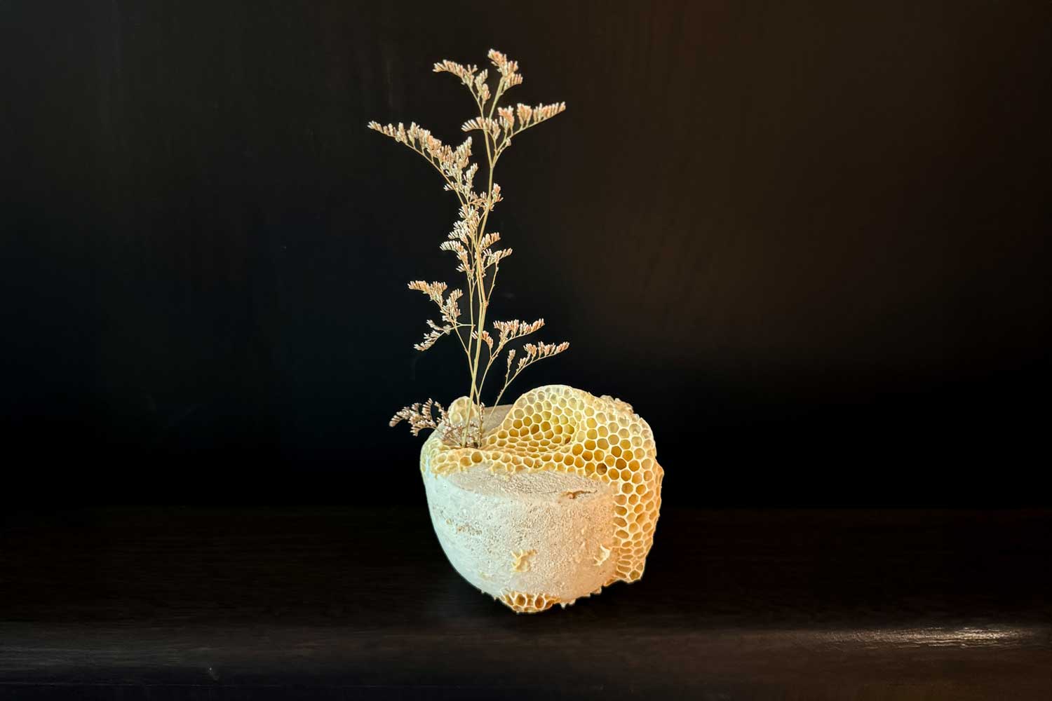 Mixed media sculptor Ava Roth