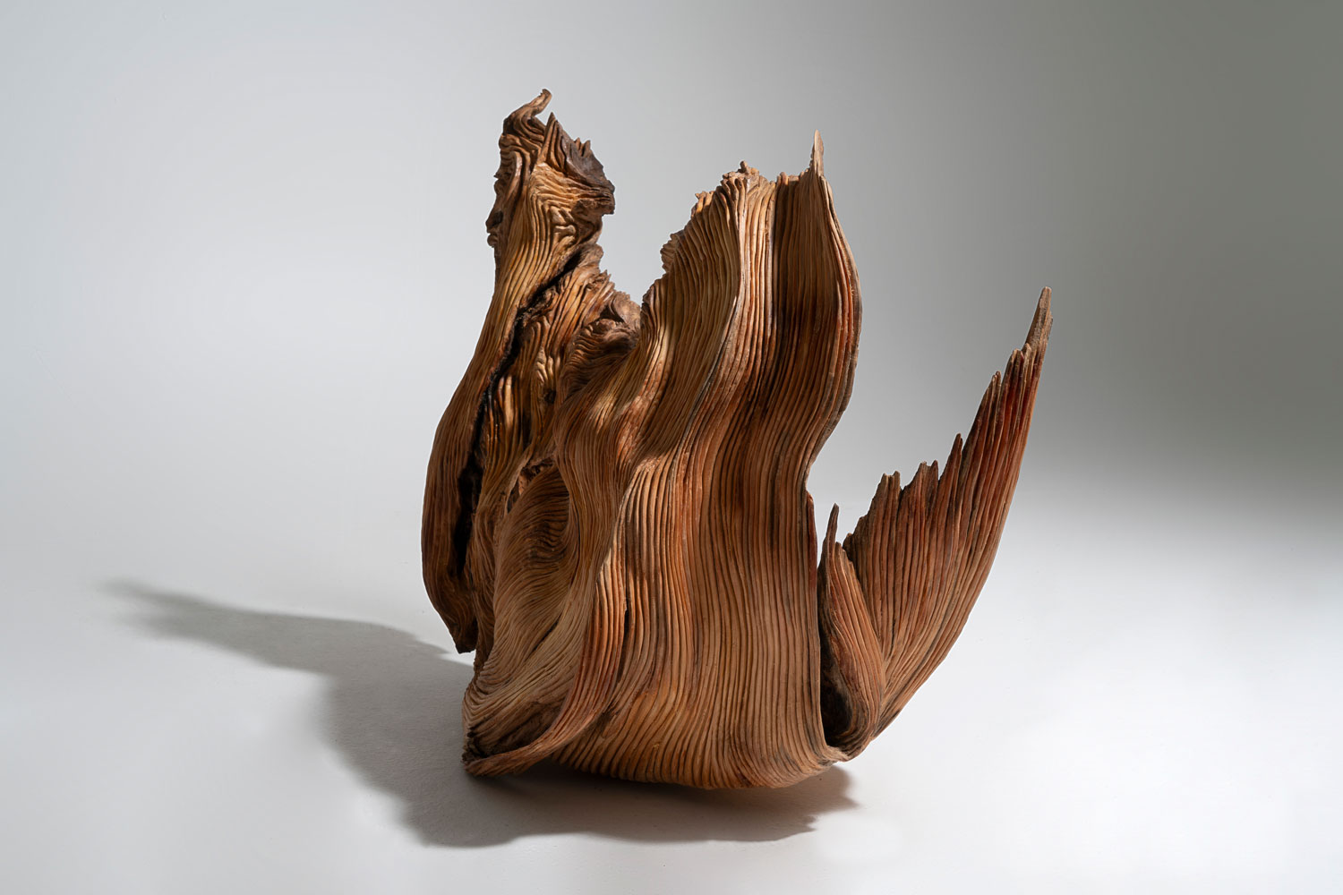 Woodcarver Borja Cáceres