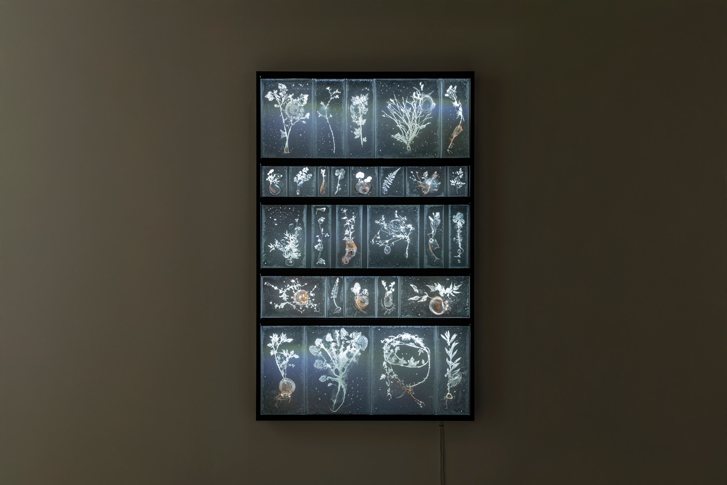 Glass sculptor Rui Sasaki