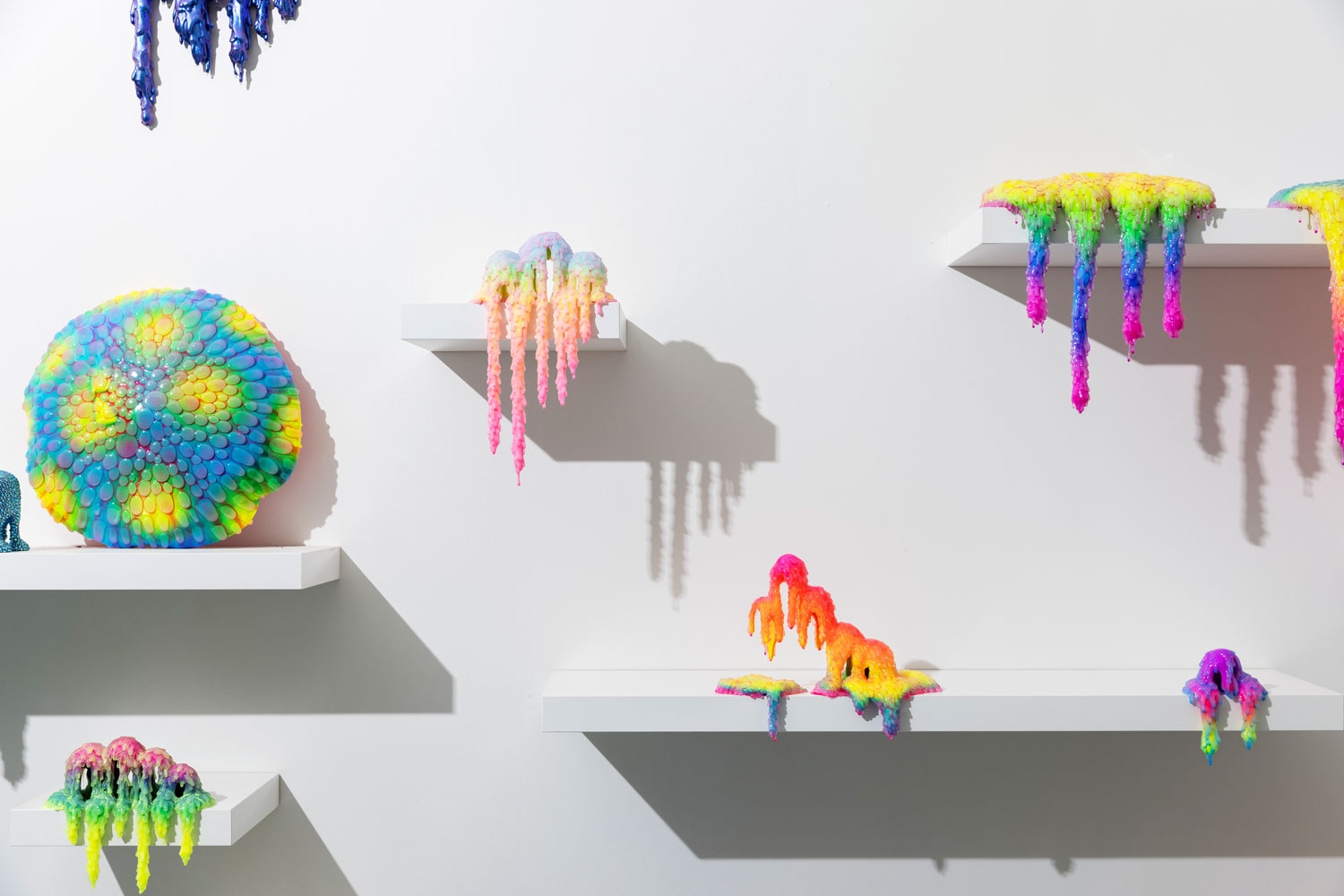 Dan Lam