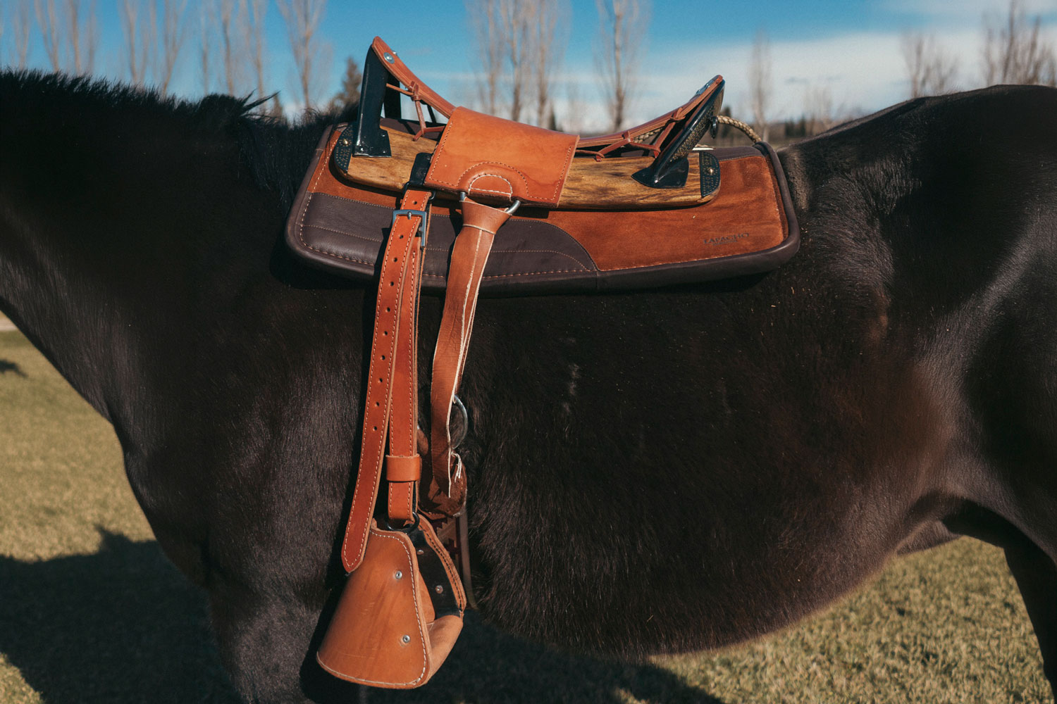 Saddler Álvaro Cuitiño Fragapani
