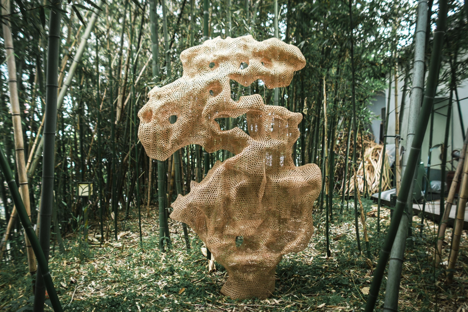 Lihuai Qian 钱利淮