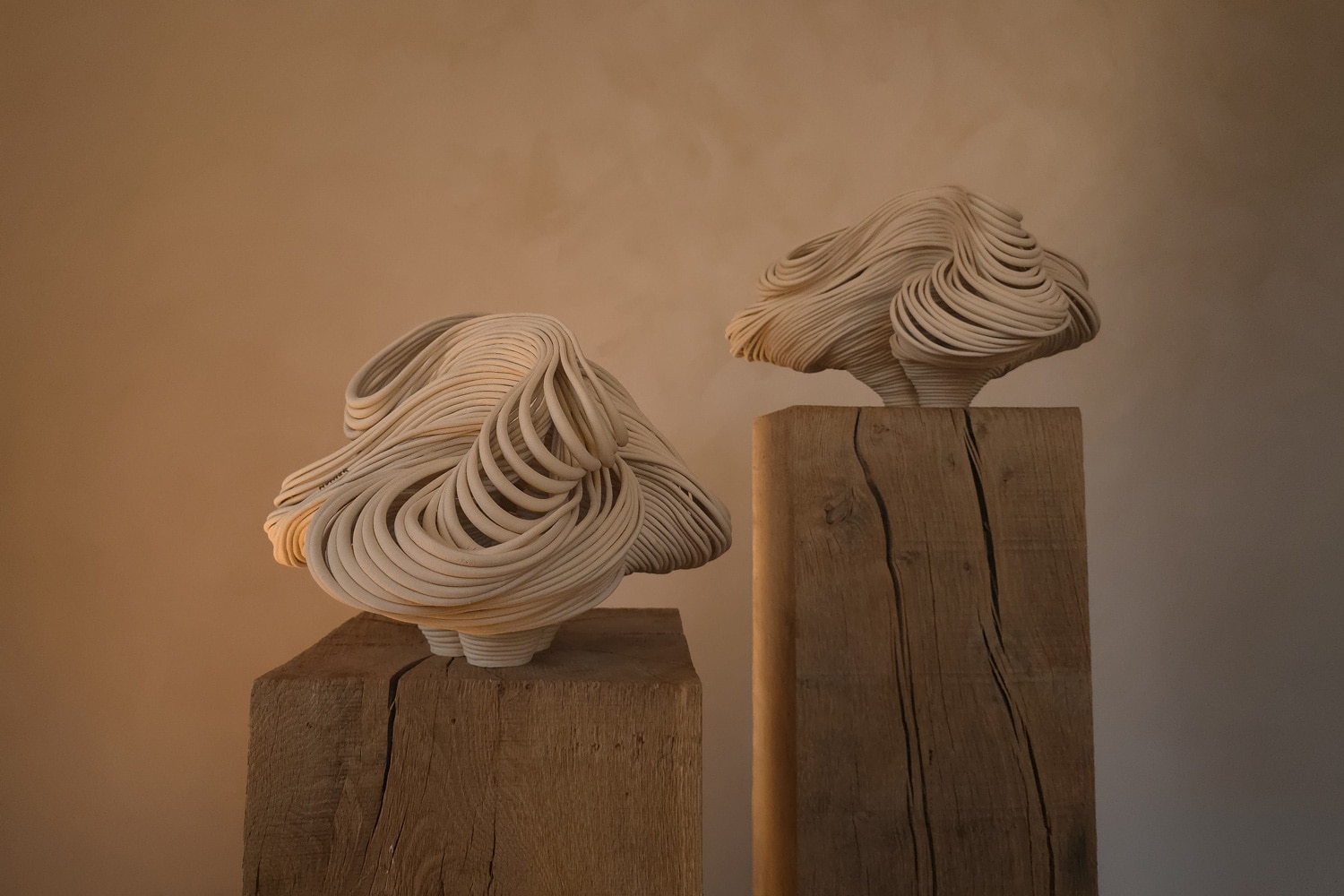 Ceramicist Sandra Munier