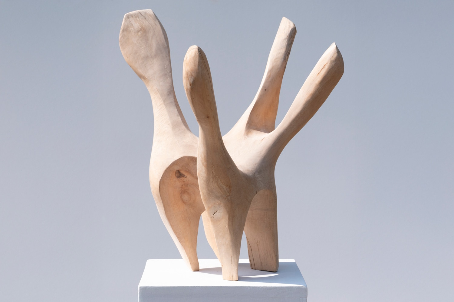 Nadine Zangarini Wood carving