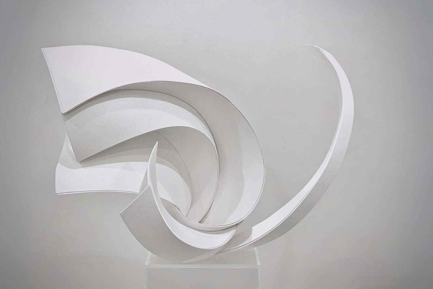 Paper artist Lorraine Ding 丁义珺