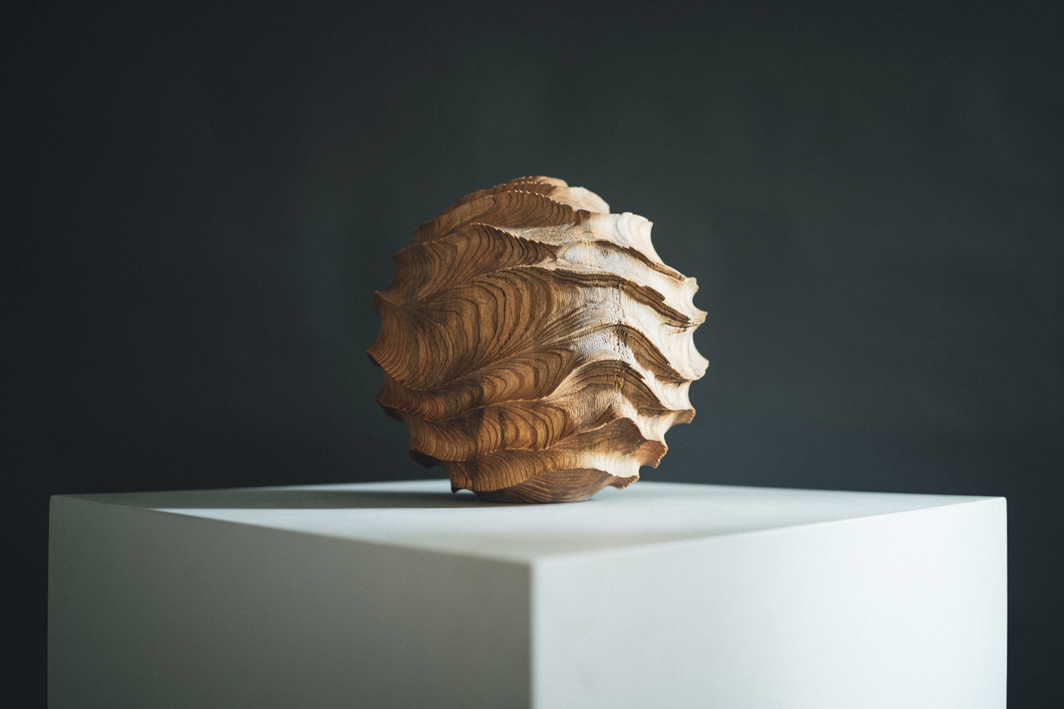 Wood sculptor Oliver Chalk