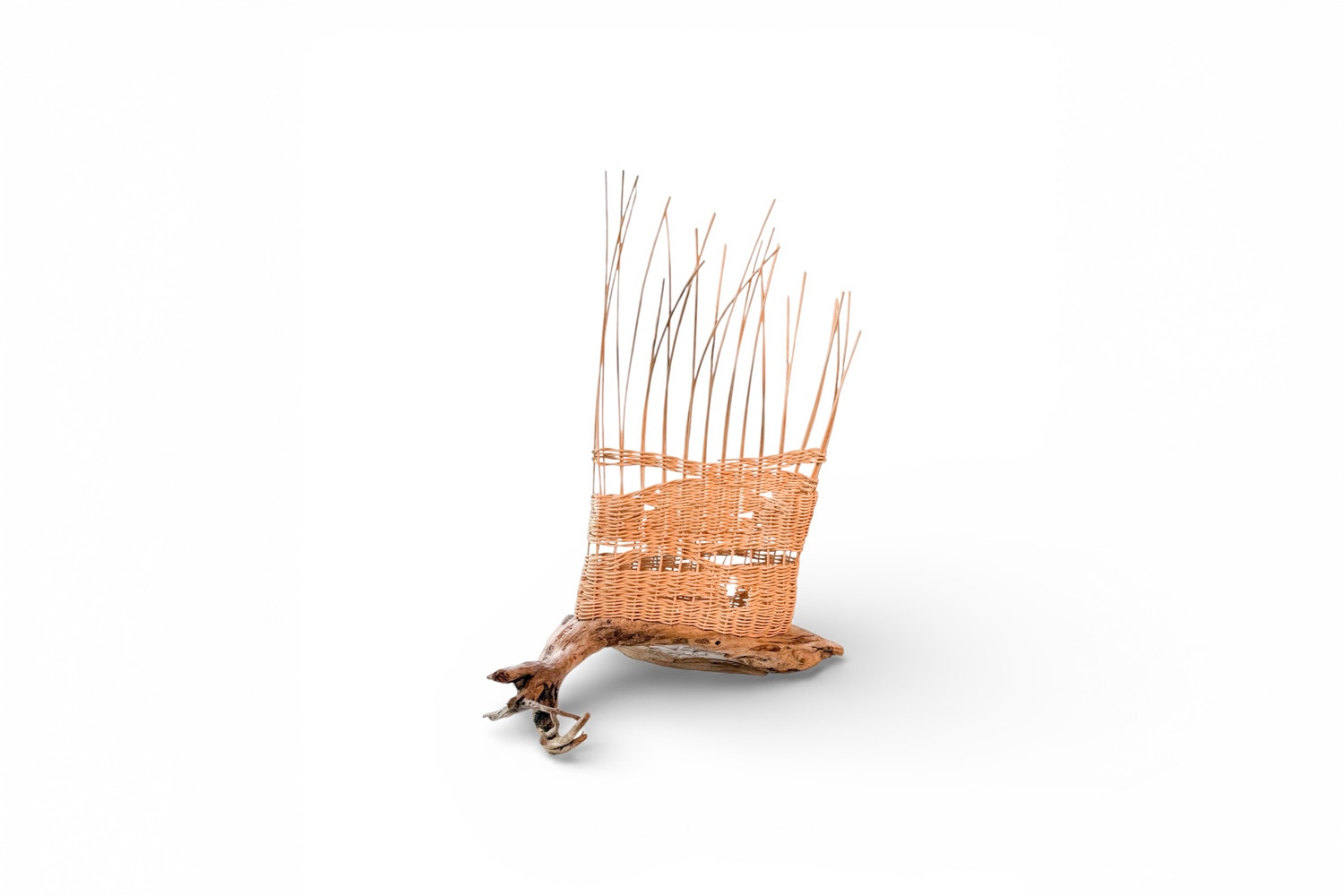 Basketweaver Shannon Lucas Westrum