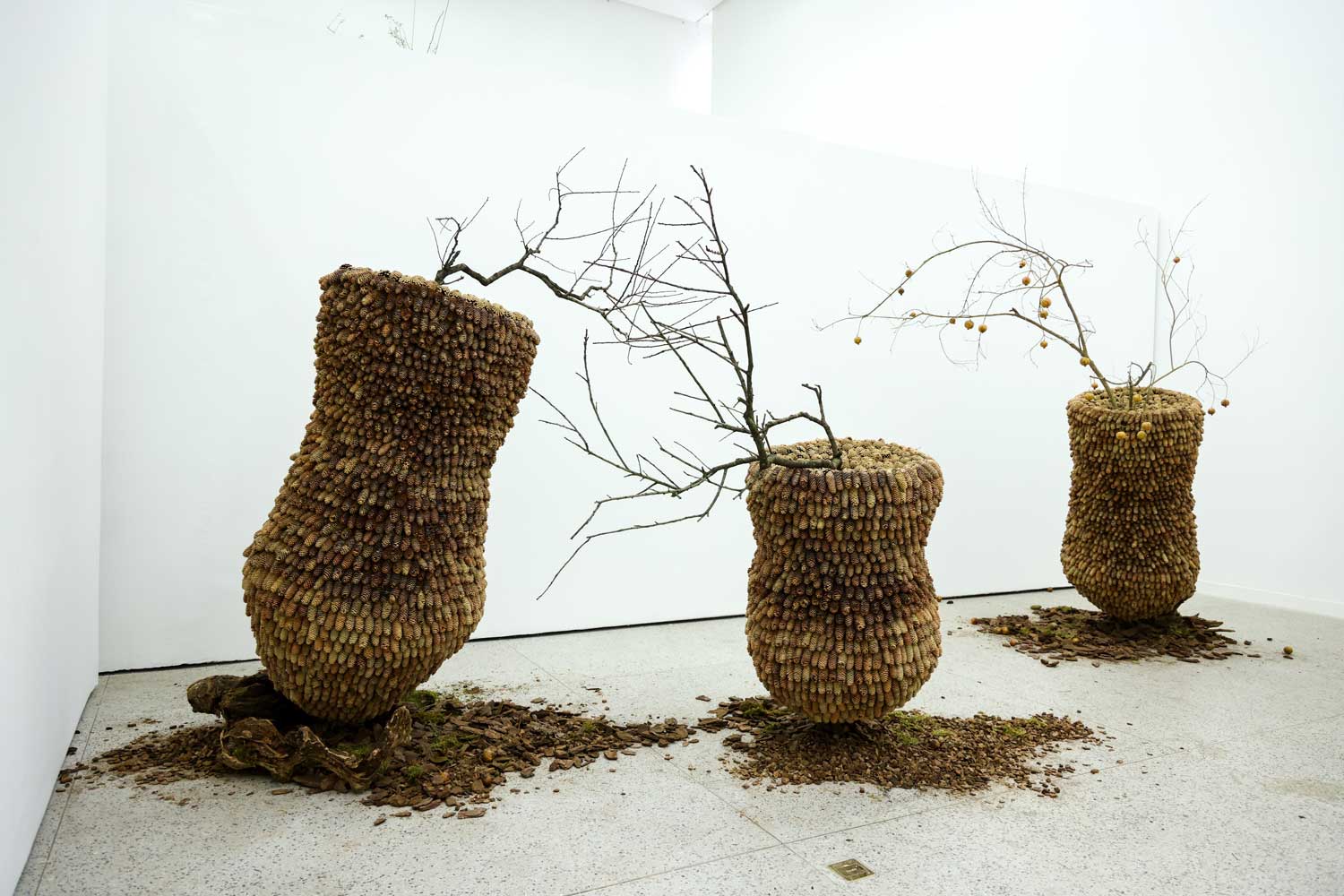 Qianchen JING 景千晨