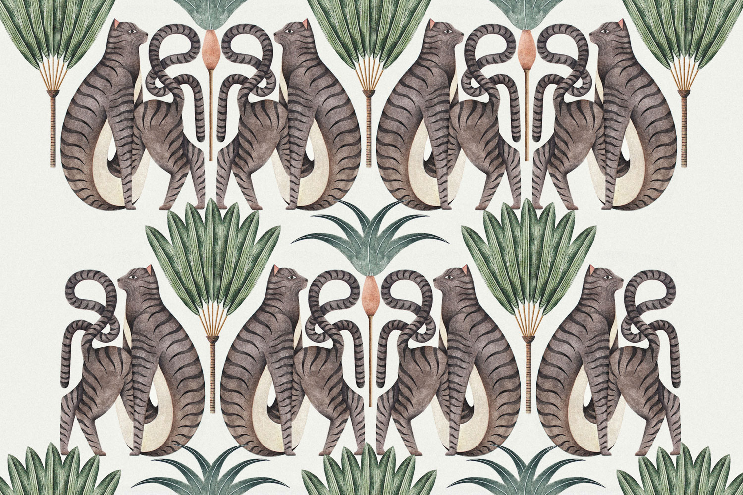 Illustrator Gaia Cairo