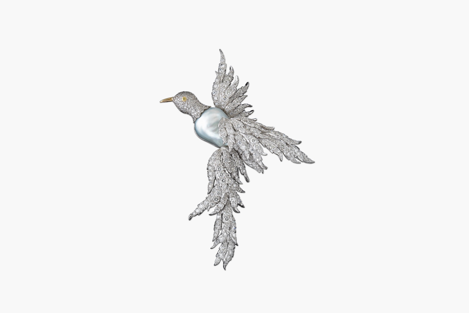 Bird of Paradise Brooch