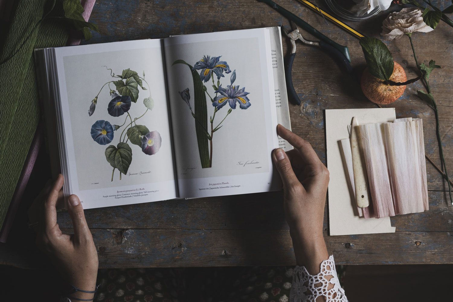 Take part in a paper flower studio tour in Venice