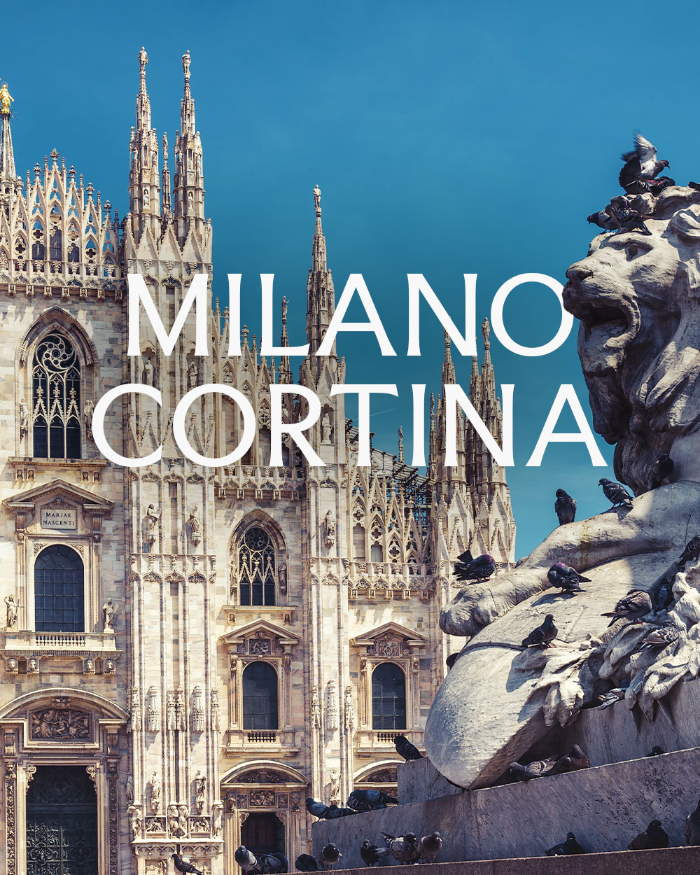 Milano Cortina: the many lives of wood
