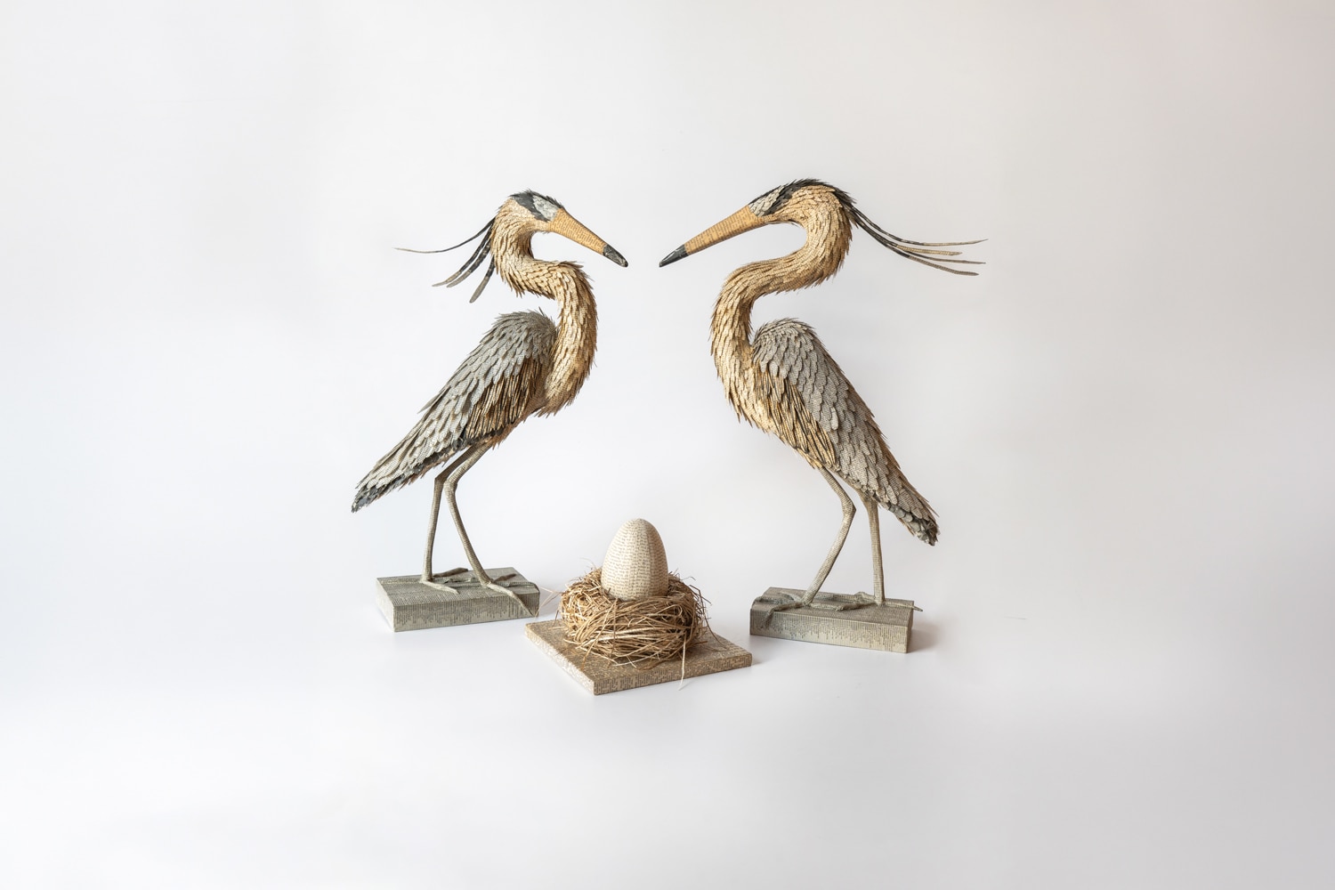 Josefina Stagnaro Whistling herons with egg and nest