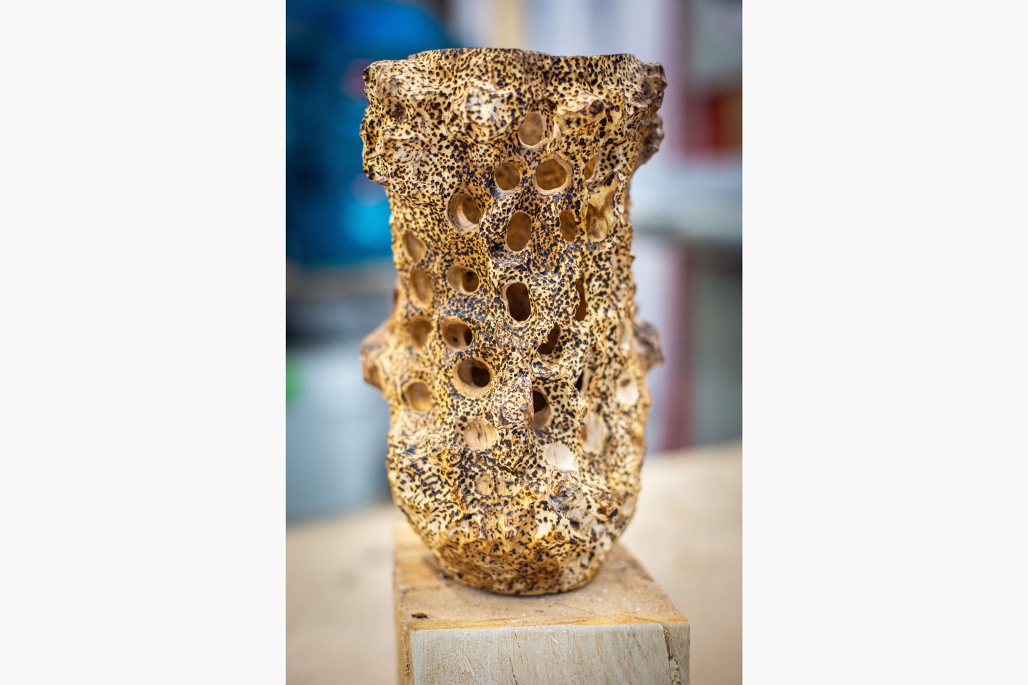 Oak burr void vessel