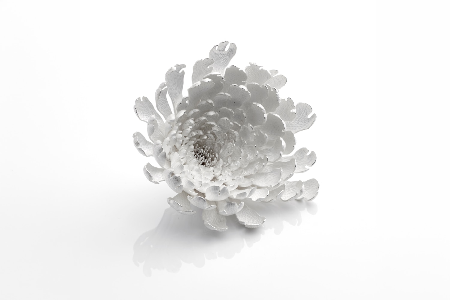 Dahlia Rose; Kiku; Tulip Rococo