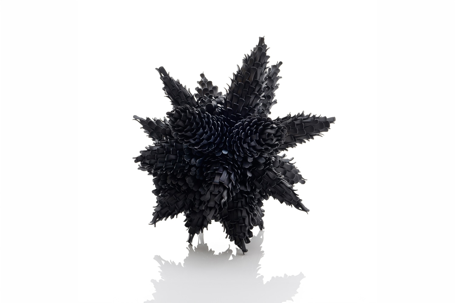Multiple Pinecone