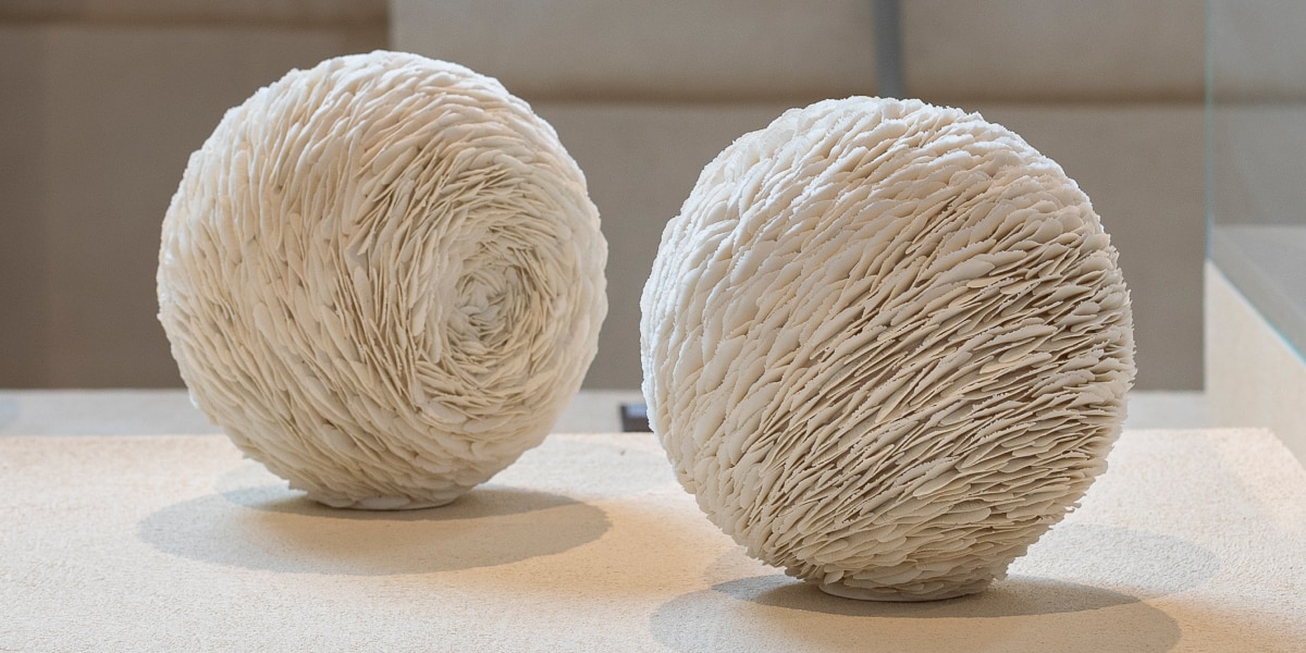 START YOUR DISCOVERY