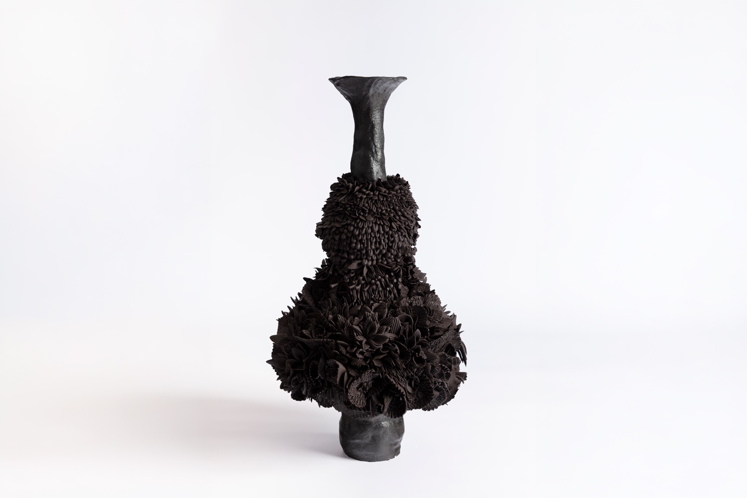 Dark Bloom