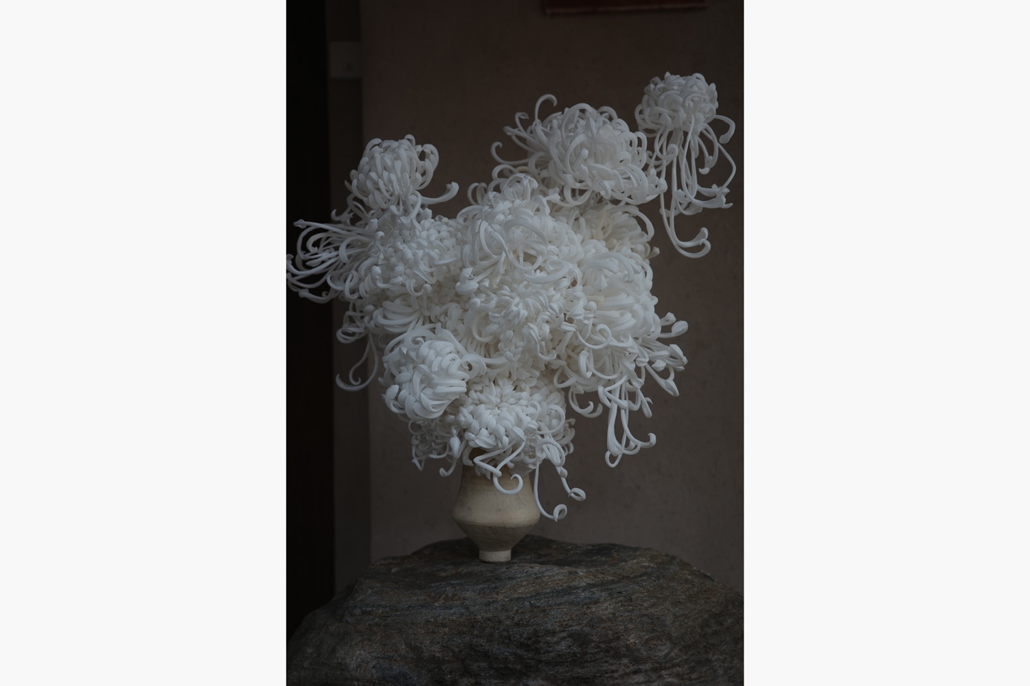 Symbiosis of Chrysanthemums