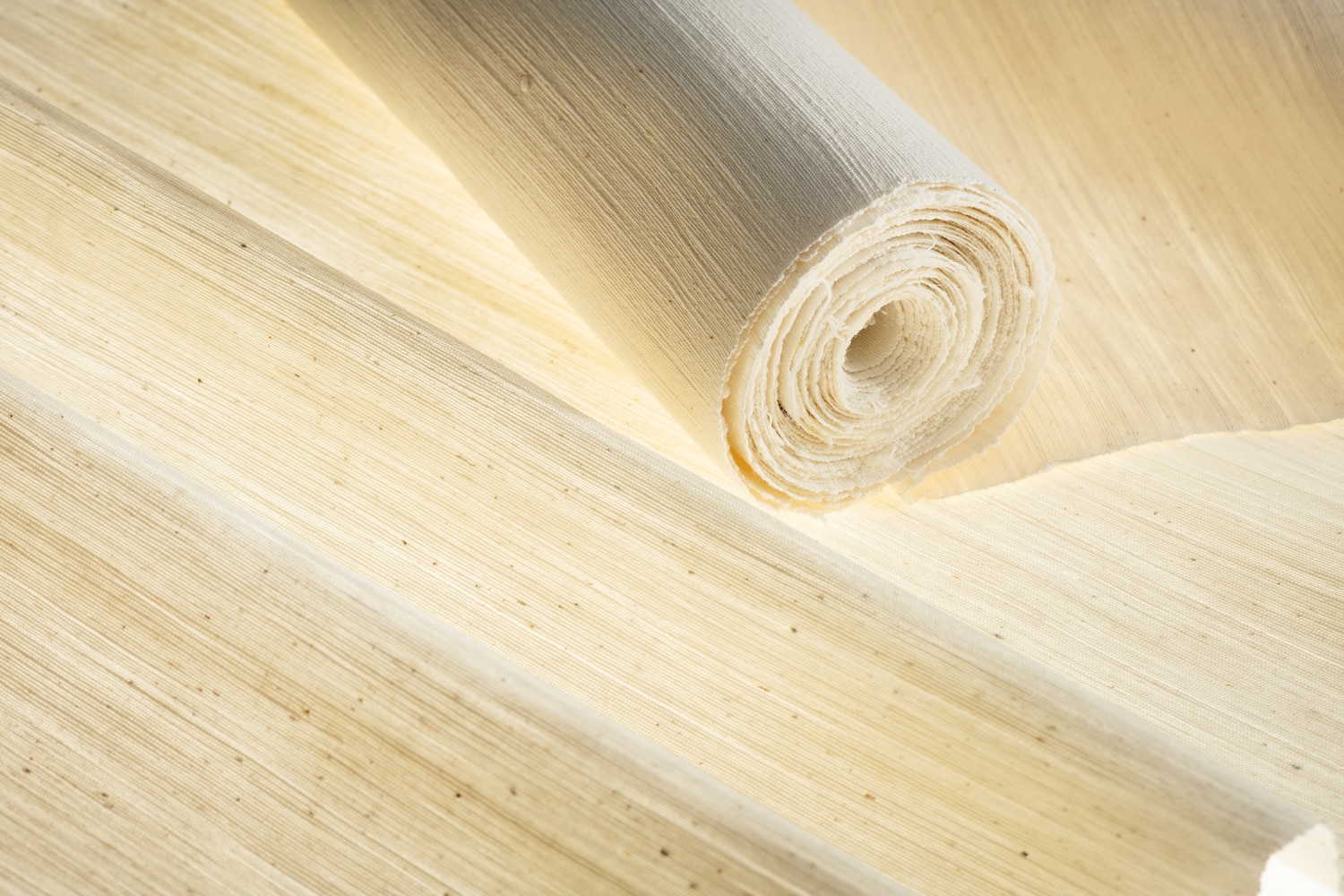 Jiwon Ree Samyeon-gyojik