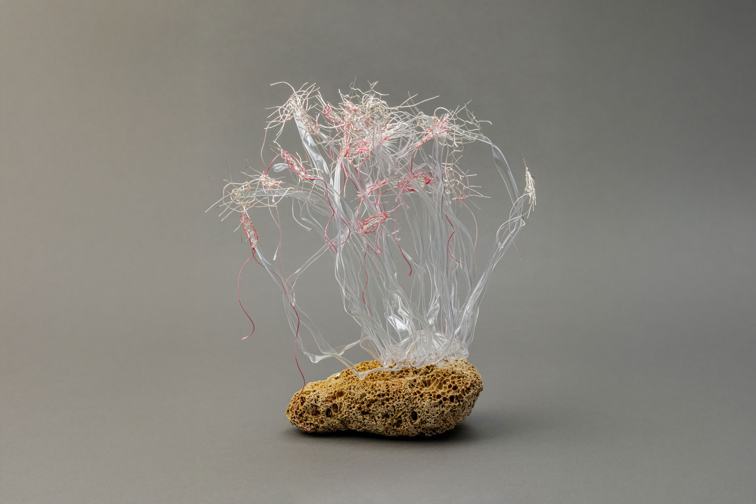 Cinzia Li Volsi Call Me Whatever Name You Like