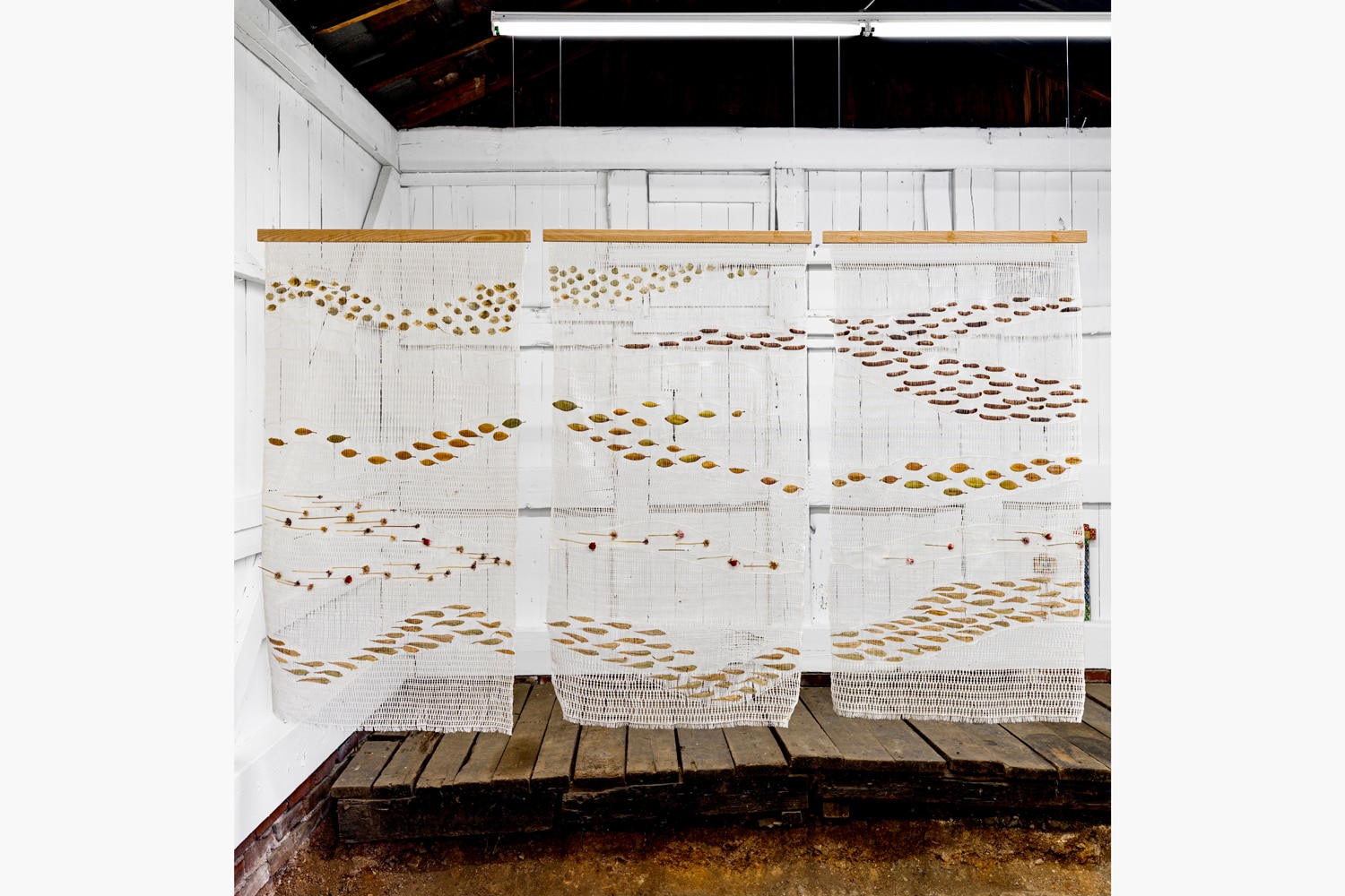 Kathleen Morris Imbibe like roots: badwater