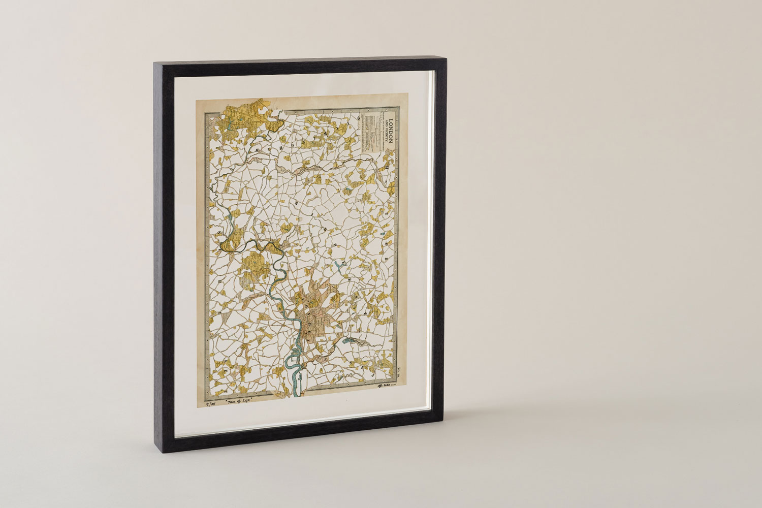 Archana Pathak Tree Of Life 8