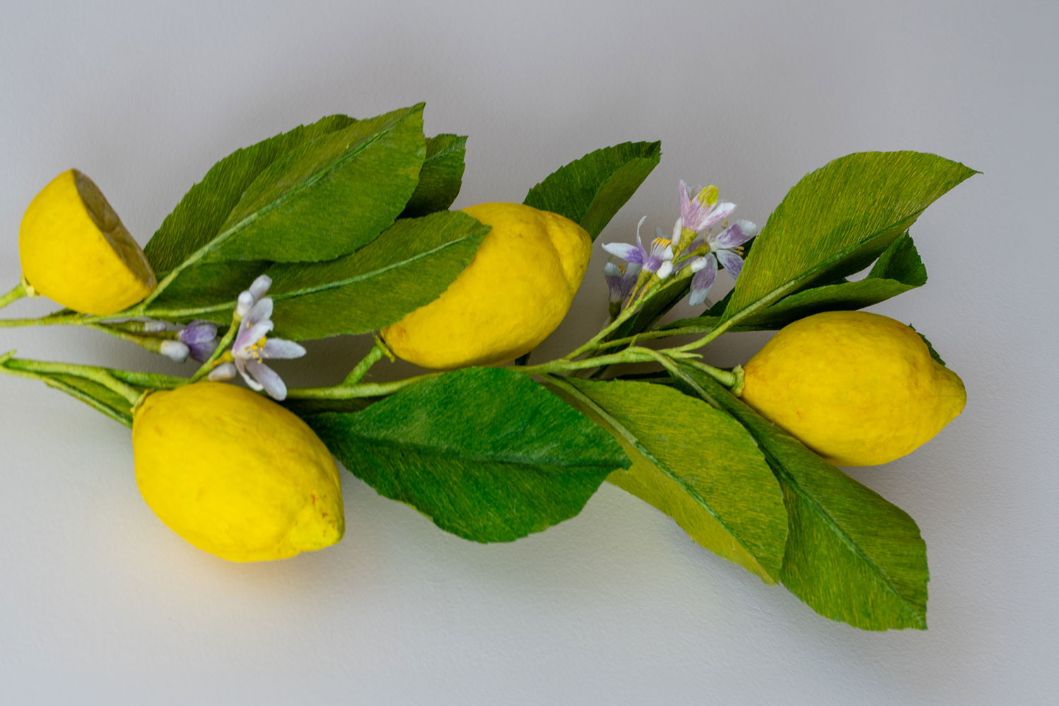 Lemon Branch