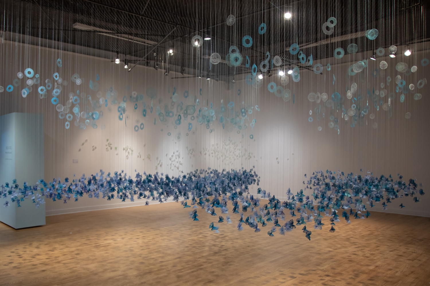 Amanda McCavour Far Away Blue Fields