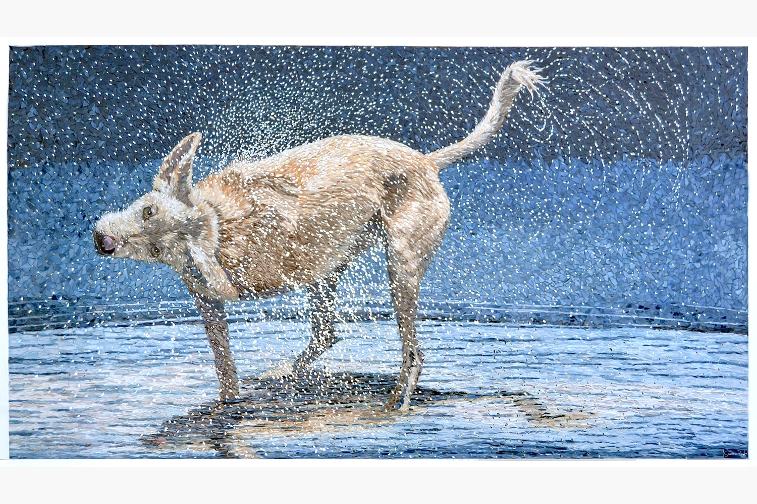 Sarah Pryke Joey