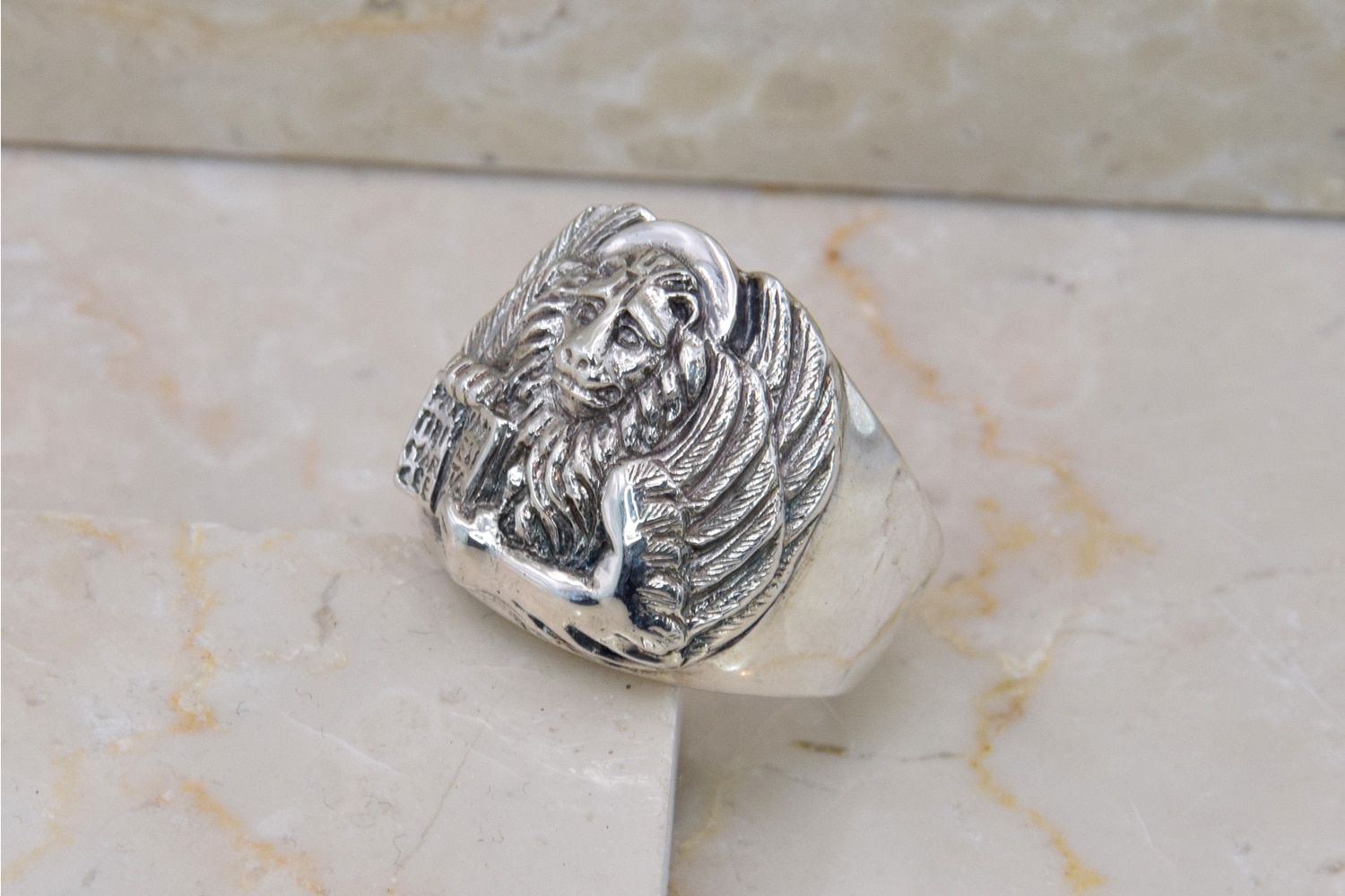 Pietro Pasqualetto Leone in moeca ring