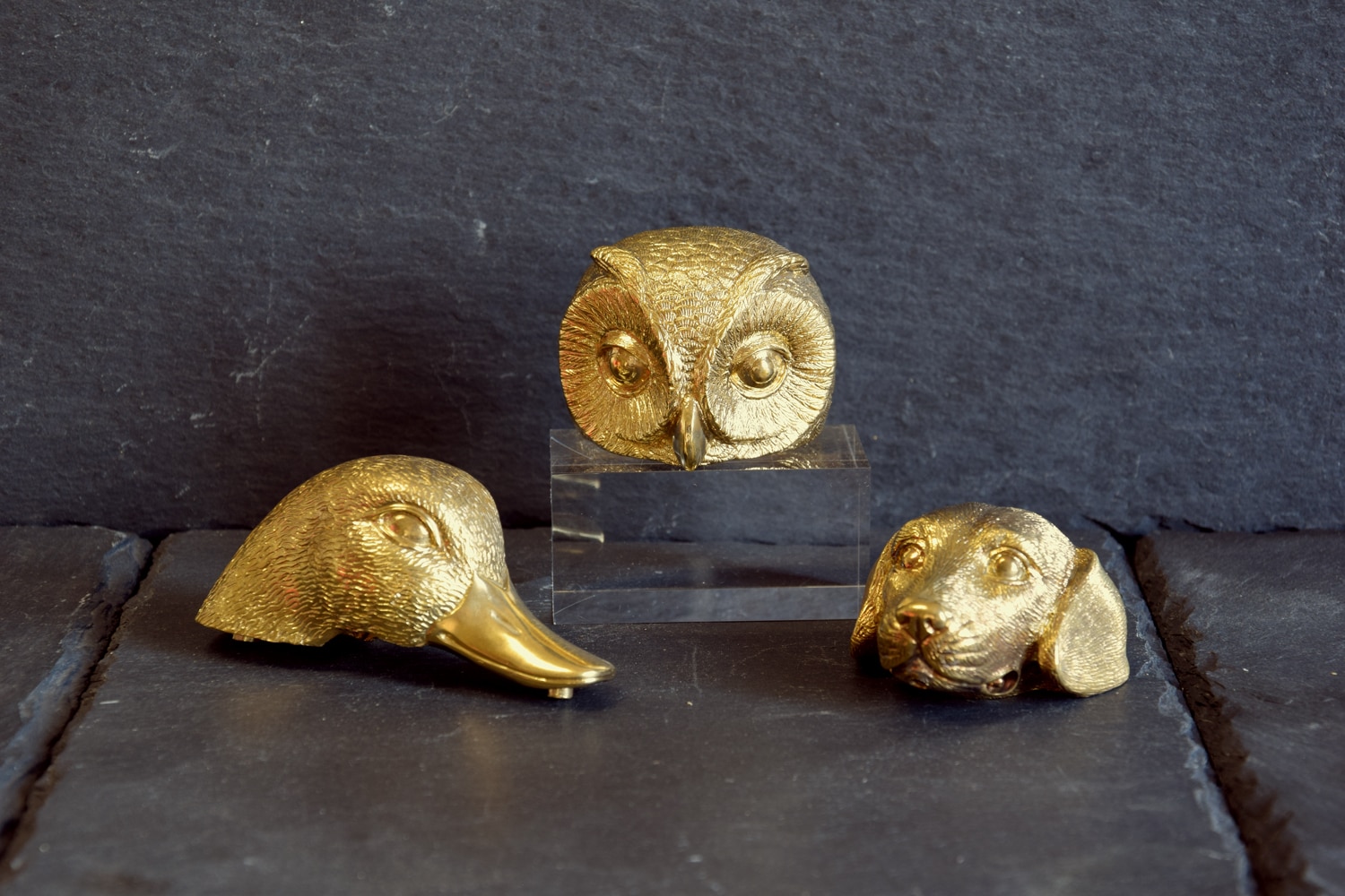 Pietro Pasqualetto Animals