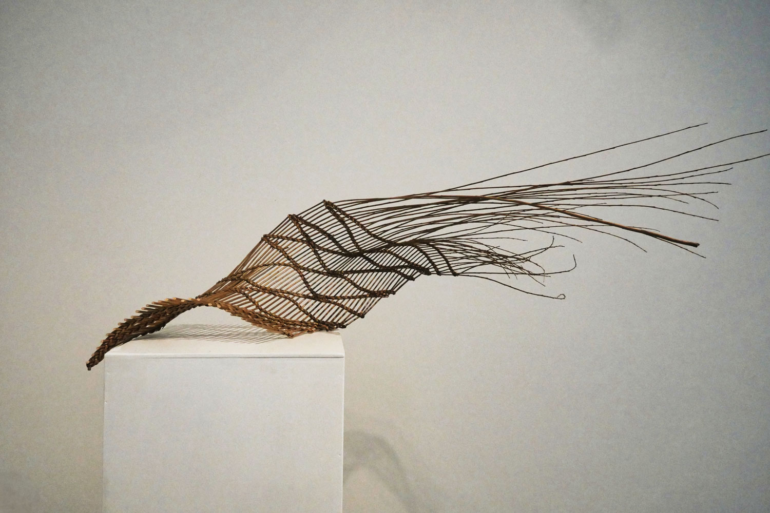 Marion Bui L’envolée