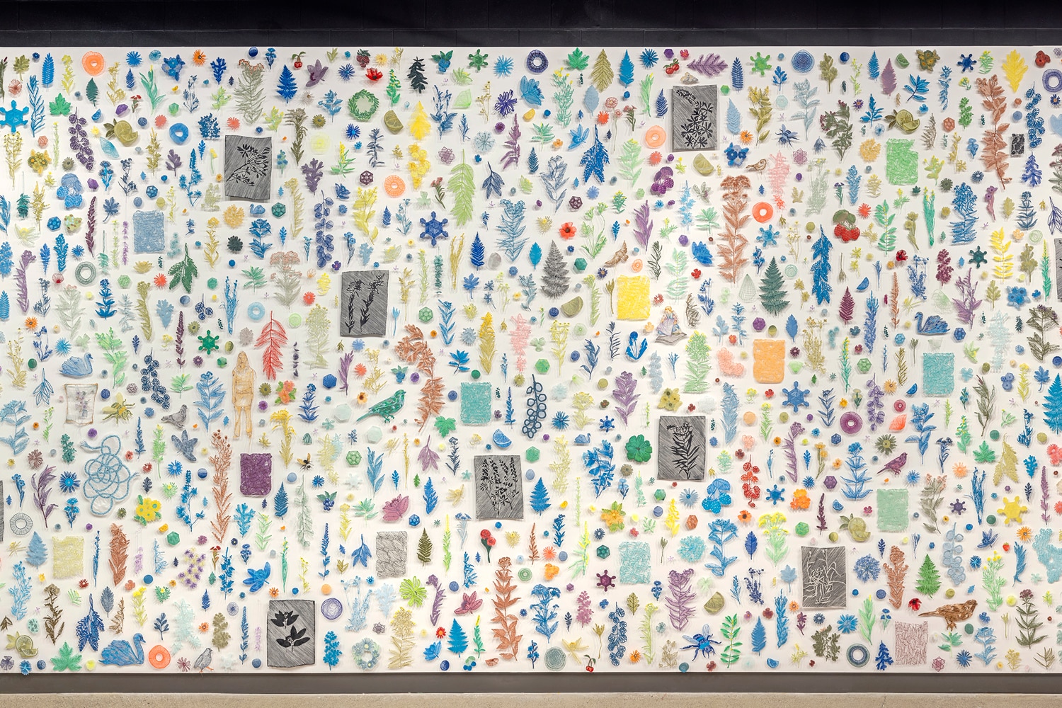 Amanda McCavour Sample Wall