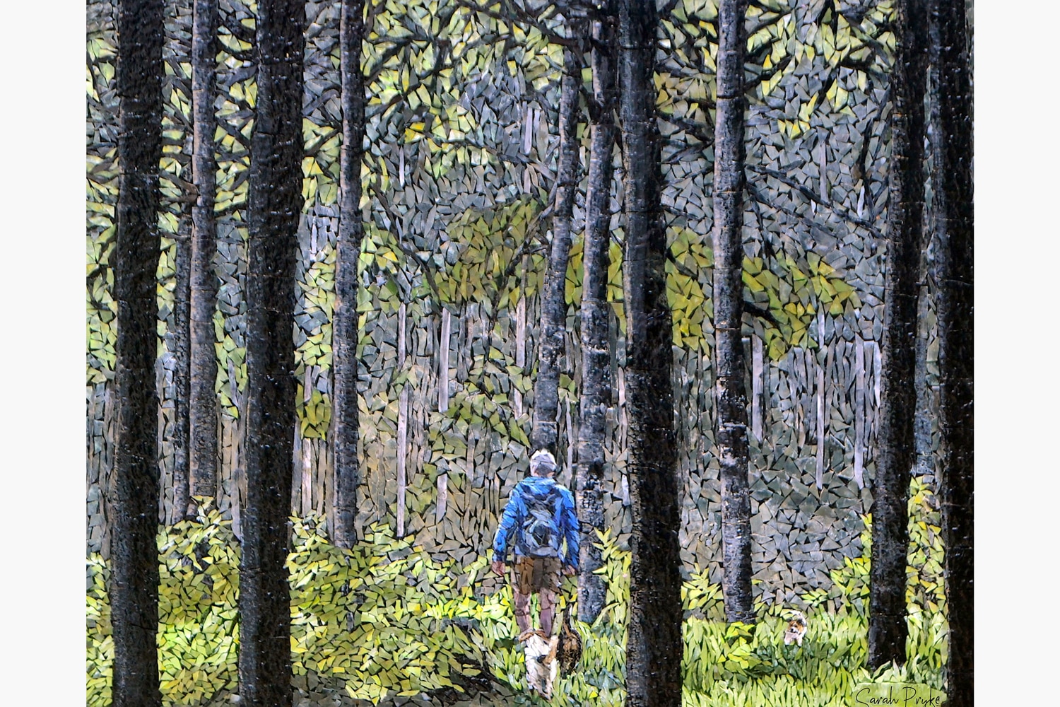 Sarah Pryke Into the forest I go to lose my mind and find my soul