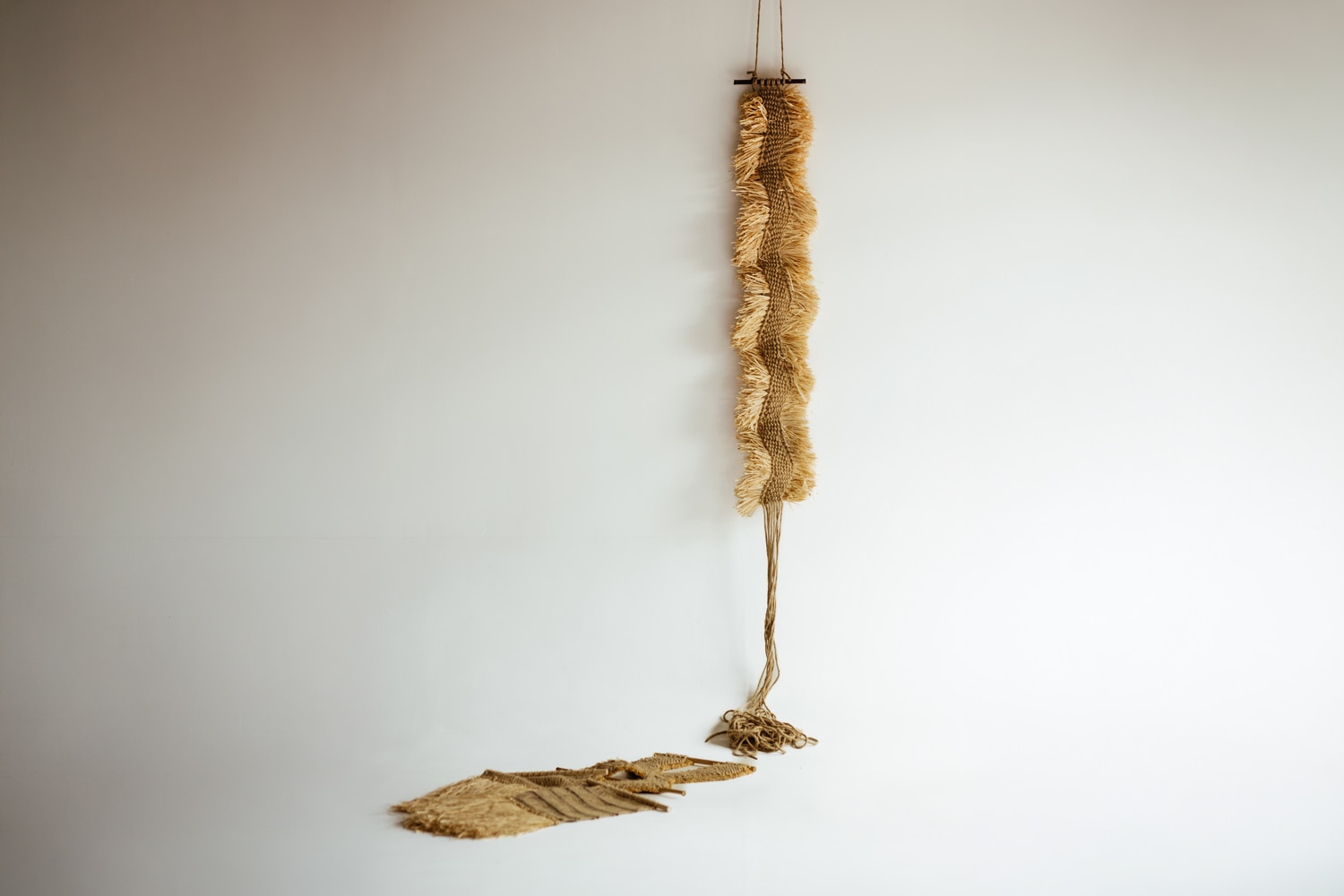 Sarah Simonds Pulse (section)
