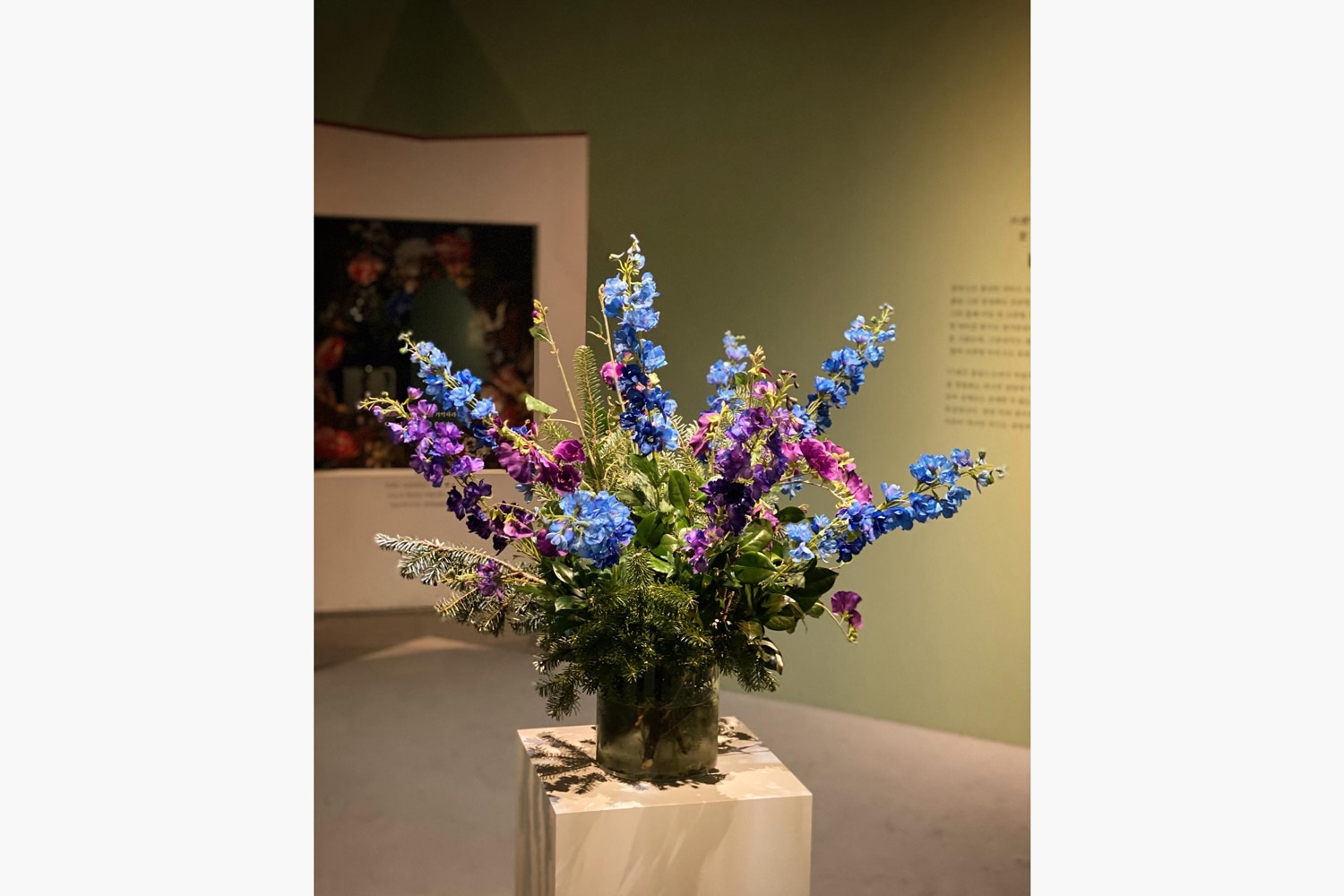 Audrey Oh Evergreen with blue